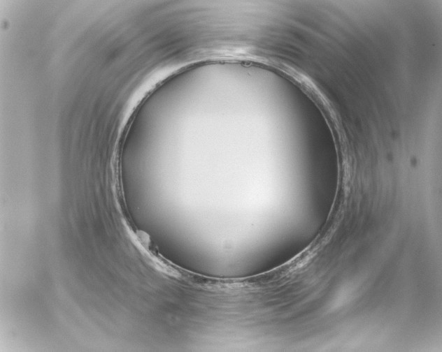 X0000054471432200508191716