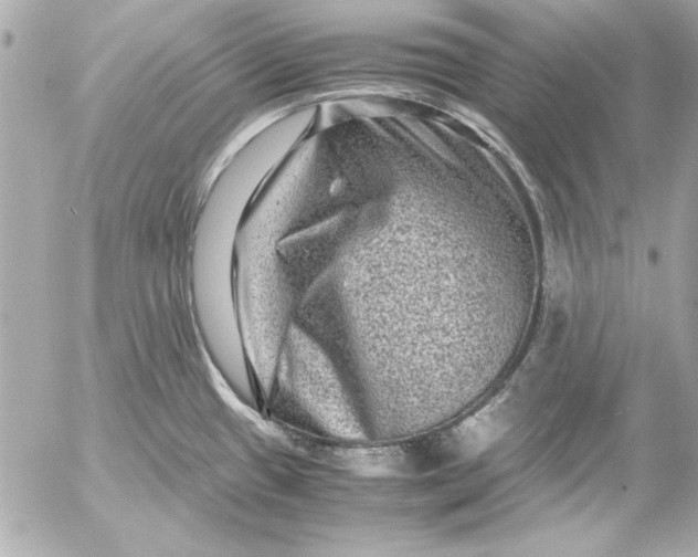 X0000054471433200508191716