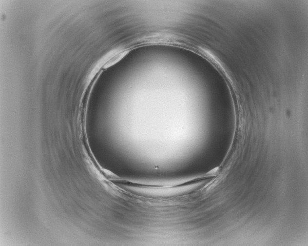 X0000054471434200508191716