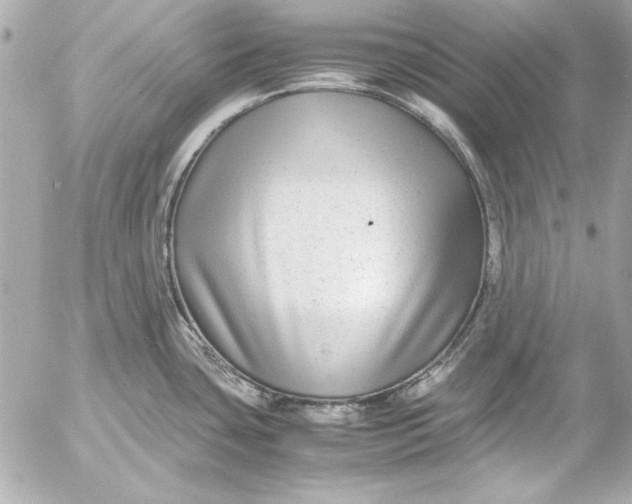 X0000054471435200508191716