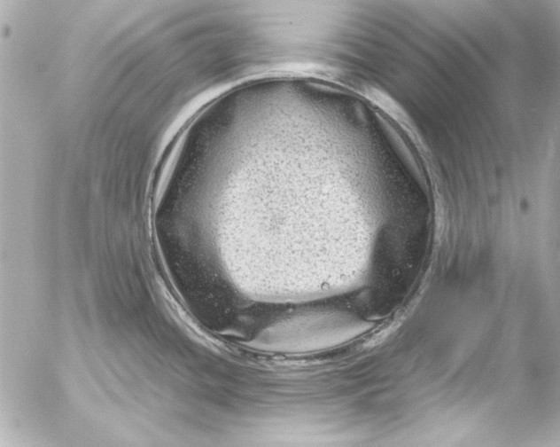 X0000054471436200508191716