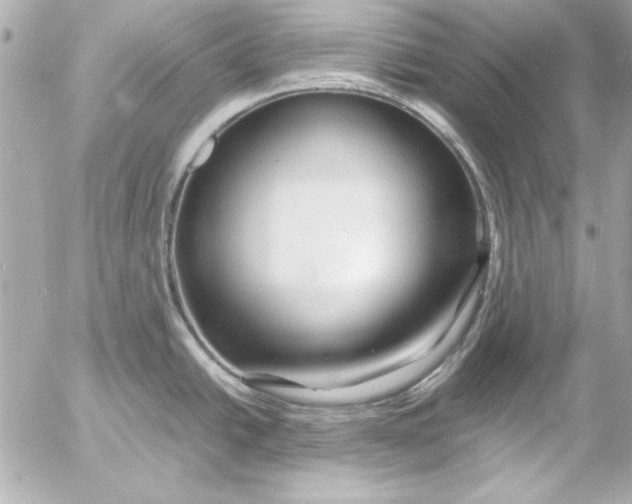 X0000054471438200508191716