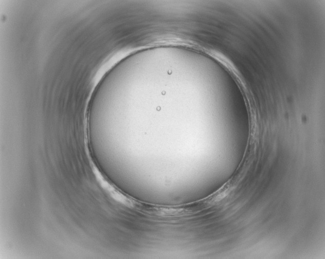 X0000054471439200508191716