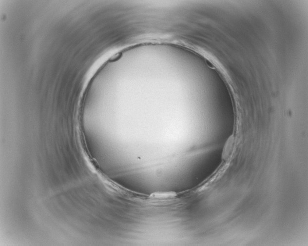 X0000054471440200508191716