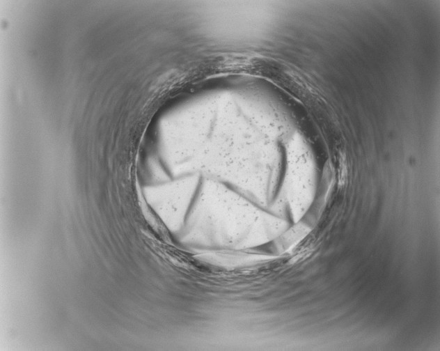 X0000054471441200508191716