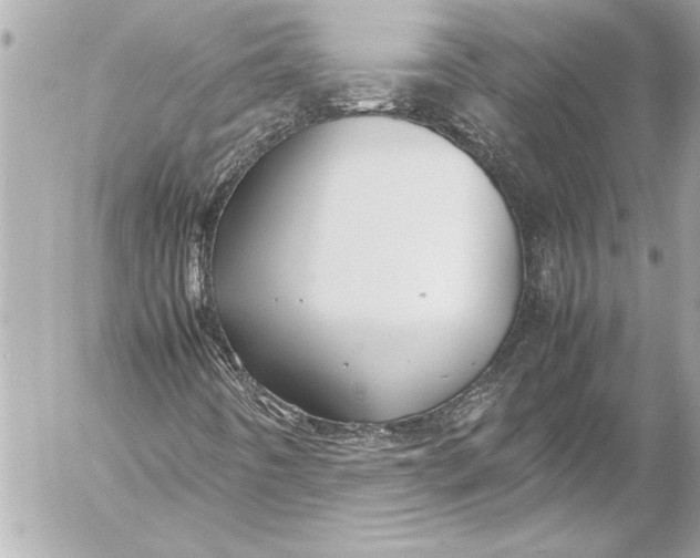 X0000054471442200508191716