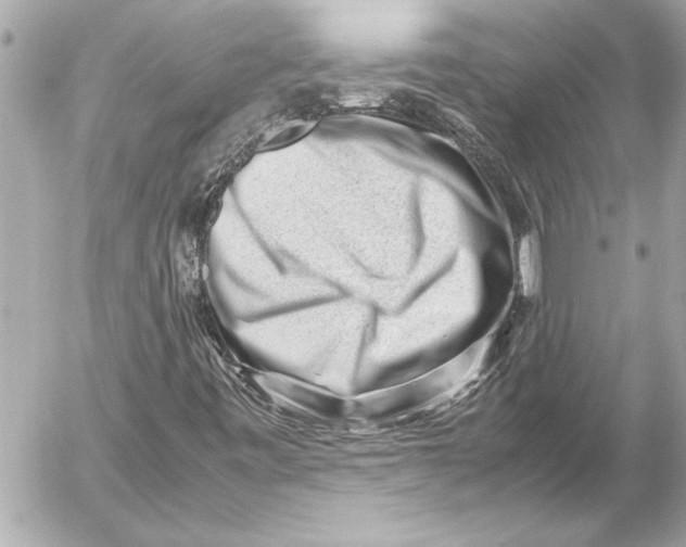 X0000054471443200508191716