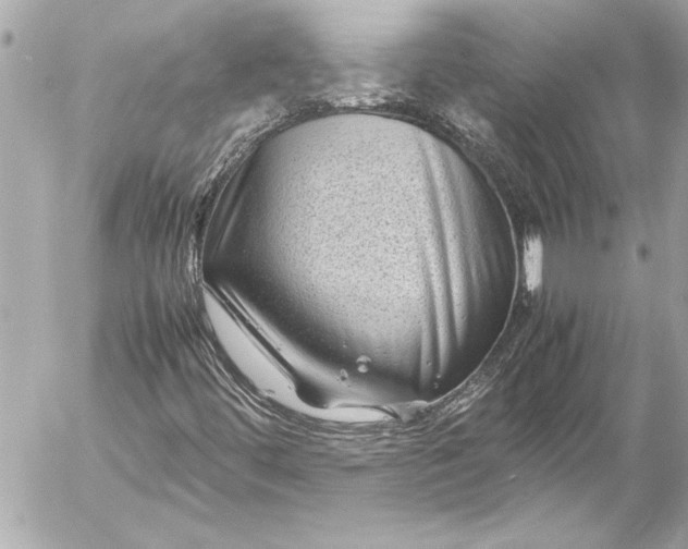 X0000054471444200508191716