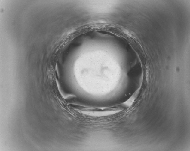 X0000054471445200508191716