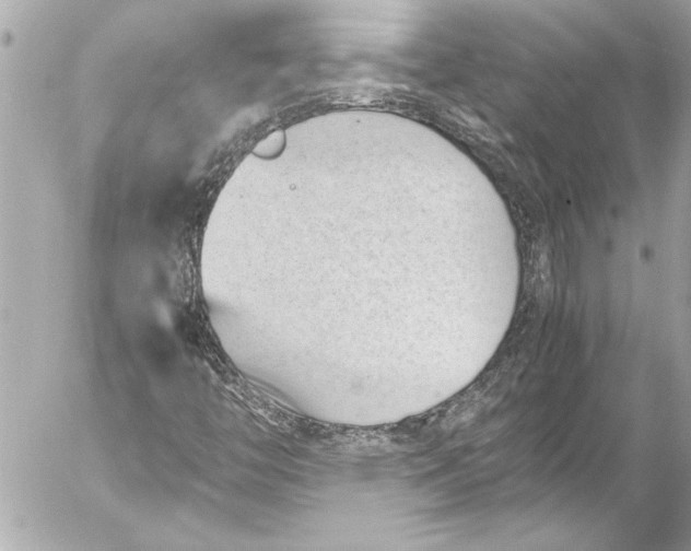 X0000054471446200508191716