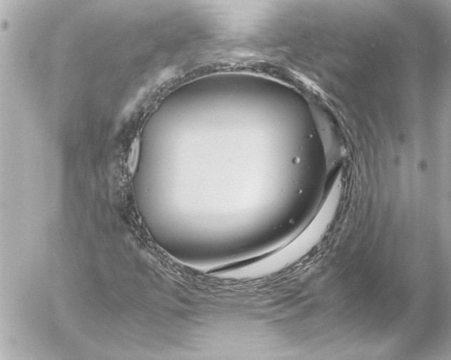 X0000054471447200508191716