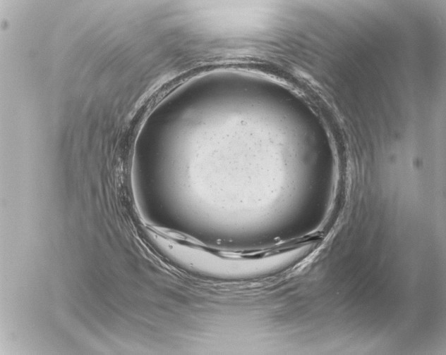 X0000054471449200508191716