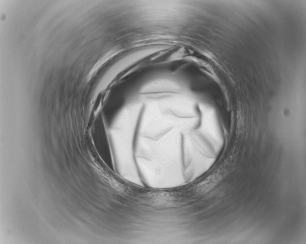 X0000054471450200508191716