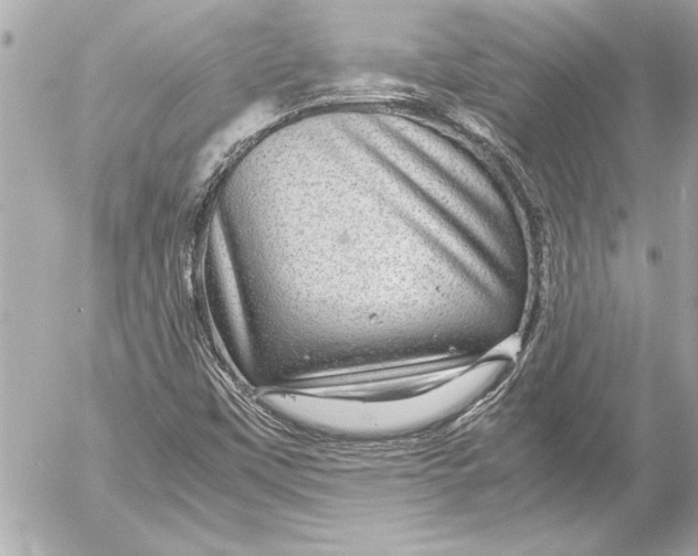 X0000054471451200508191716