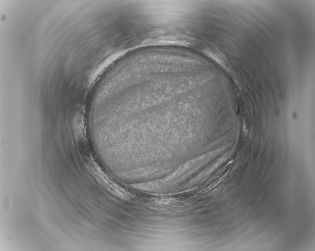 X0000054471452200508191715