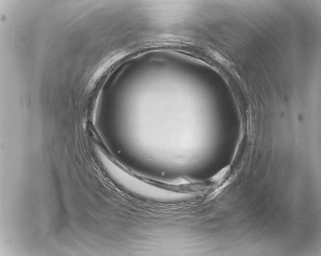 X0000054471453200508191715