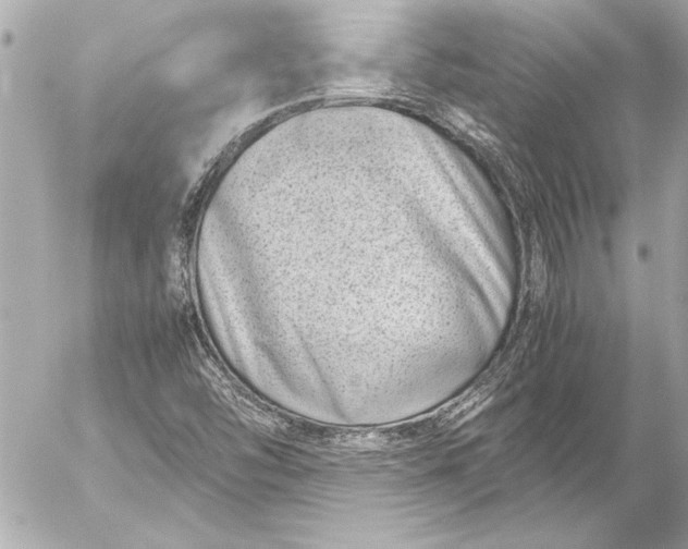 X0000054471454200508191715