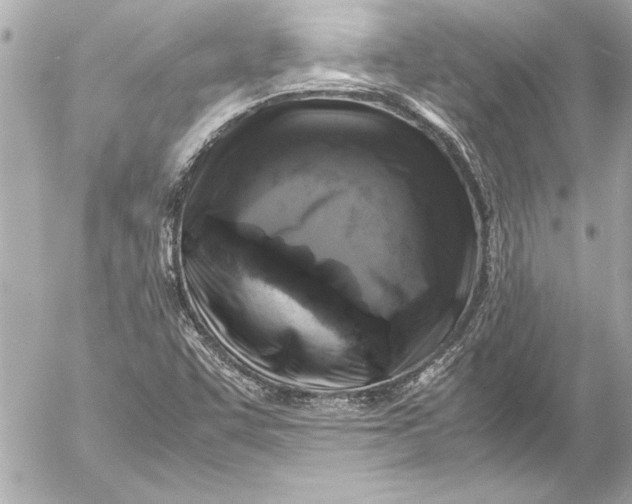 X0000054471455200508191715