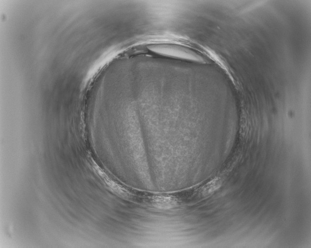 X0000054471456200508191715