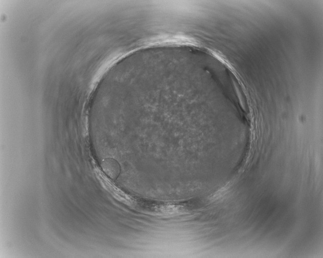 X0000054471459200508191715