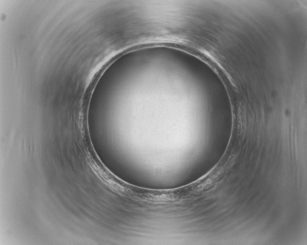 X0000054471460200508191715