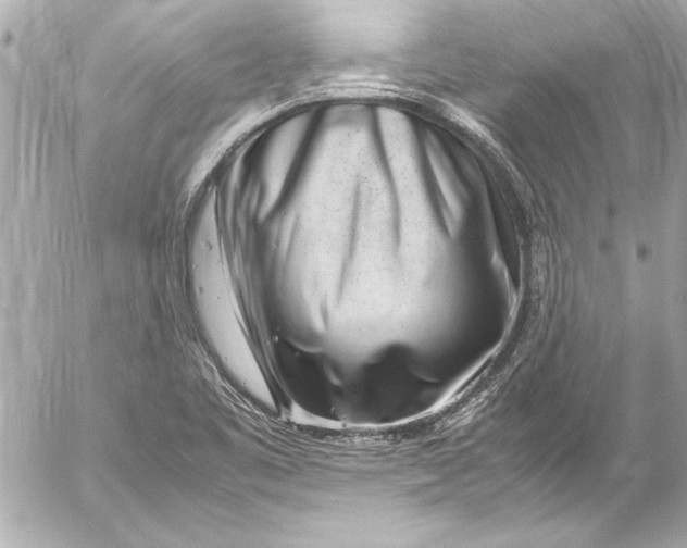 X0000054471461200508191715