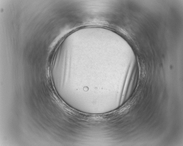 X0000054471462200508191715