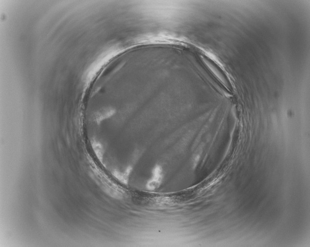 X0000054471463200508191715