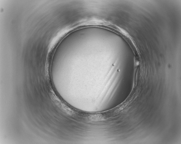 X0000054471464200508191715