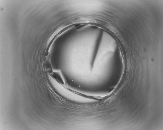 X0000054471465200508191715