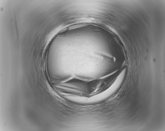 X0000054471467200508191715