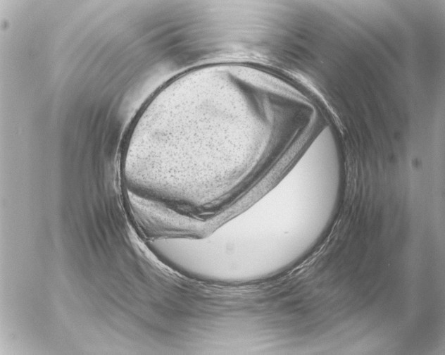 X0000054471468200508191715