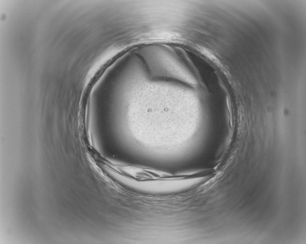 X0000054471469200508191715