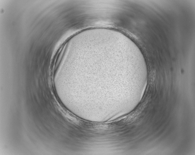 X0000054471470200508191715