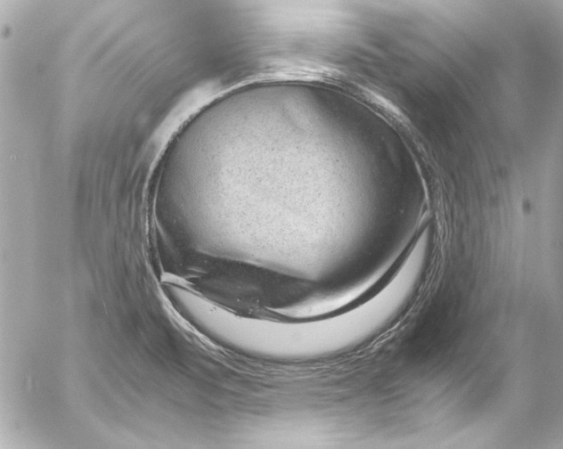 X0000054471471200508191715