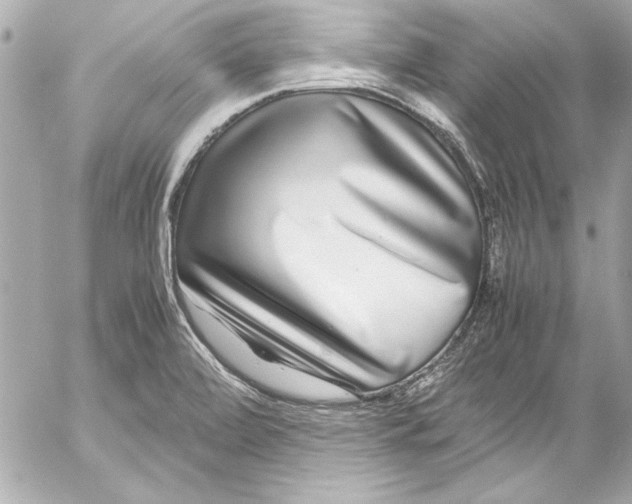 X0000054471472200508191715