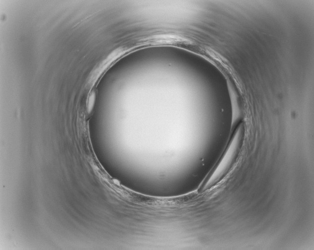 X0000054471473200508191715