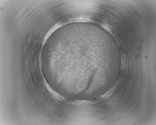 X0000054471474200508191715