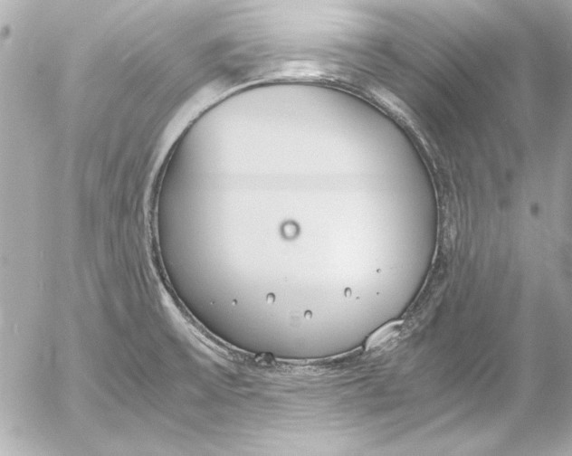 X0000054471475200508191715