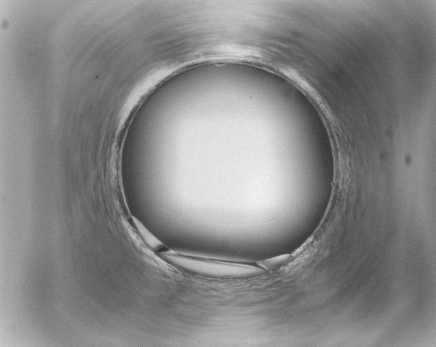 X0000054471477200508191715