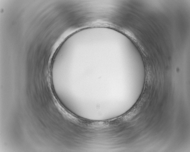 X0000054471478200508191715