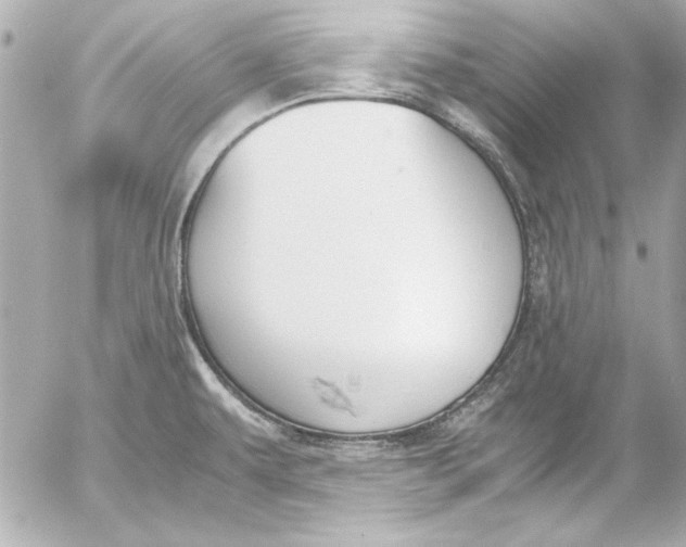 X0000054471479200508191715