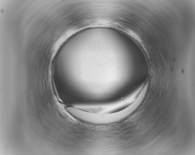 X0000054471480200508191715