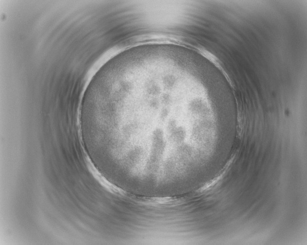 X0000054471482200508191715