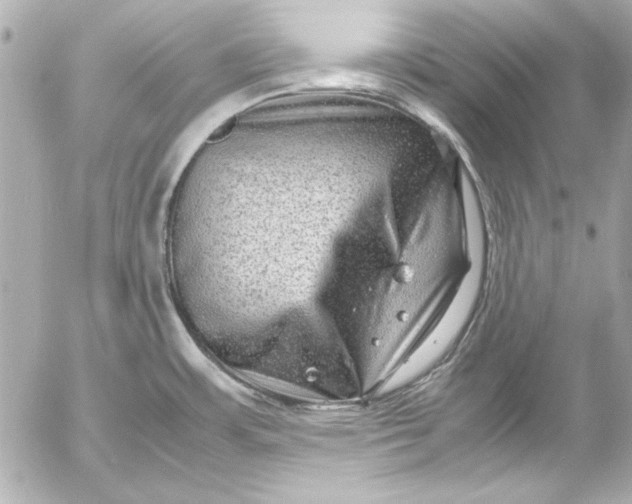 X0000054471483200508191715