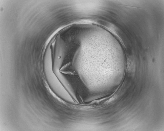 X0000054471484200508191715