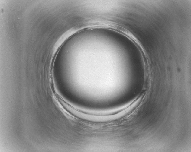 X0000054471485200508191715