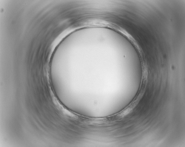 X0000054471486200508191715