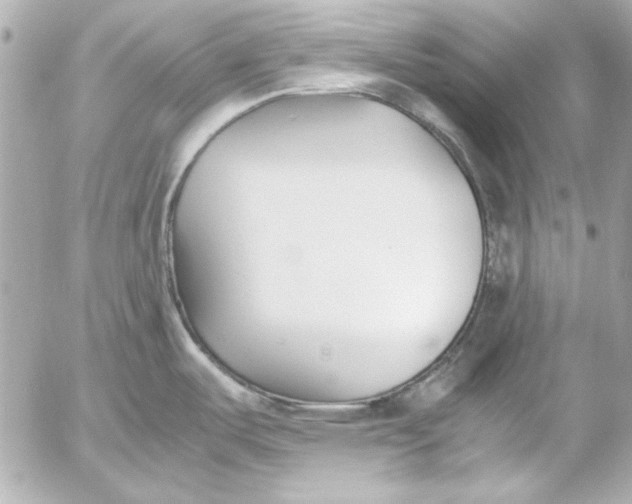 X0000054471487200508191715