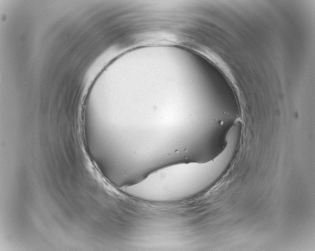 X0000054471488200508191715